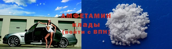шишки Аркадак