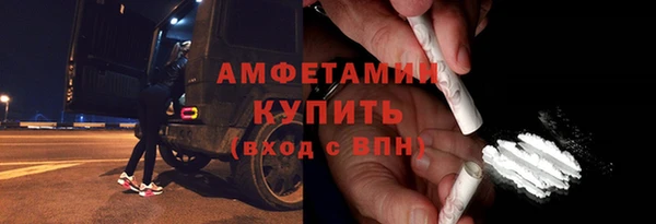 шишки Аркадак