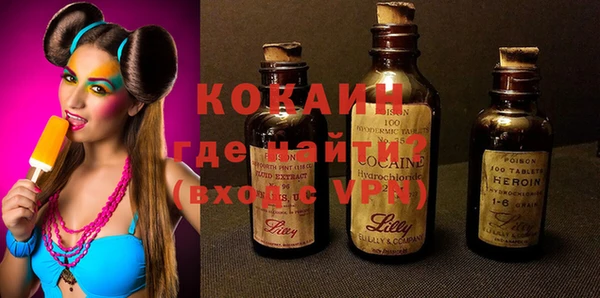 шишки Аркадак
