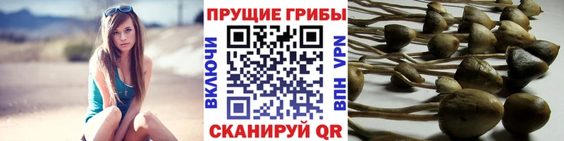 Галлюциногенные грибы MAGIC MUSHROOMS  OMG ONION  дарк нет клад  Луза 
